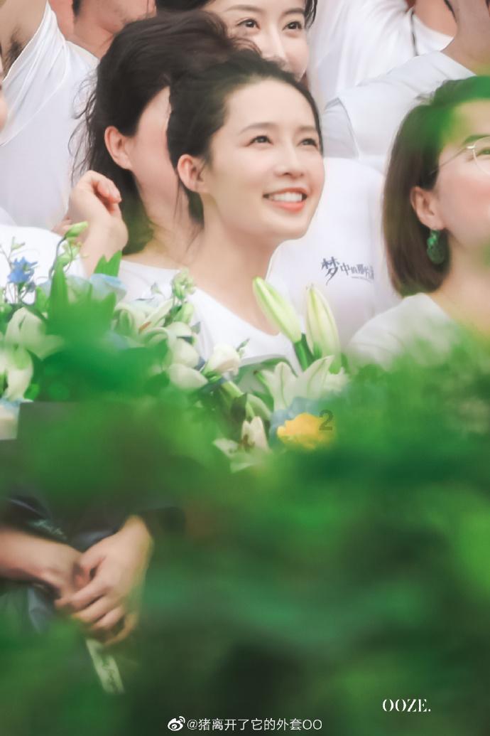 竹子定律缘由